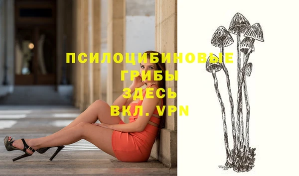 бутират Алексеевка