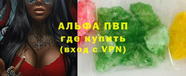 ECSTASY Алзамай