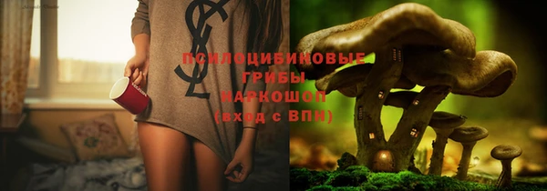ECSTASY Алзамай