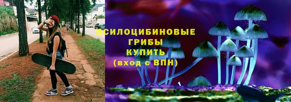 бутират Алексеевка