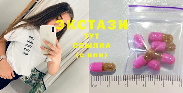 ECSTASY Алзамай