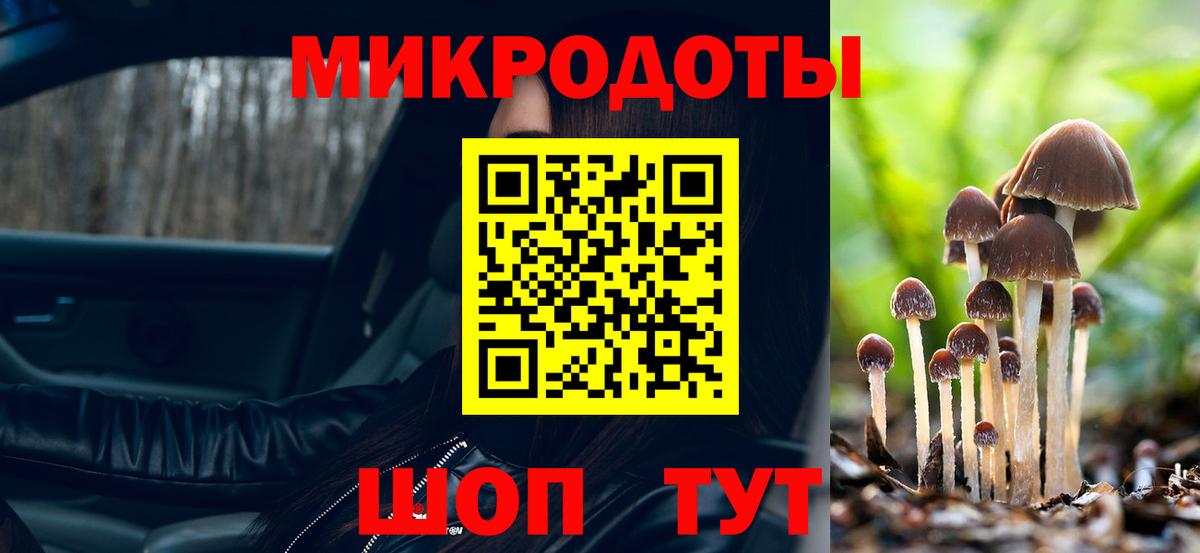 Миасс  Псилоцибиновые грибы мухоморы  Вход с VPN 
